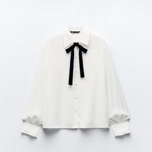 Zara Shirt with Contrasting Tie